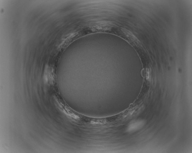 X0000058820915200510031317