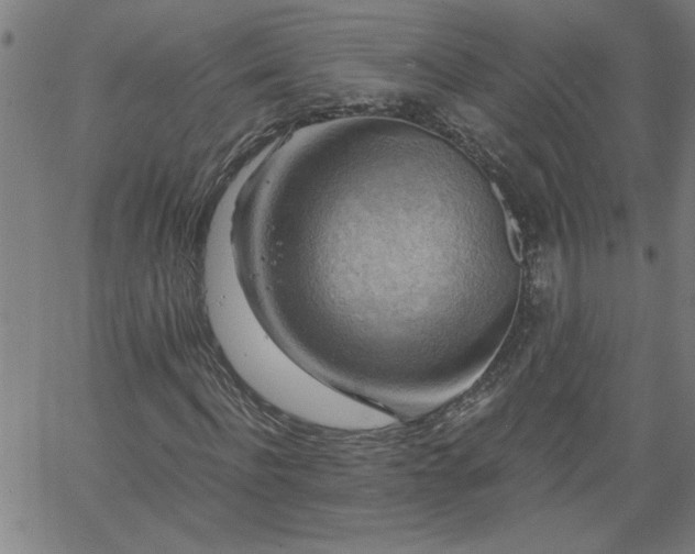 X0000058820916200510031317