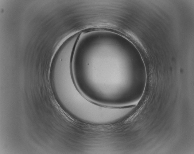 X0000058820932200510031317