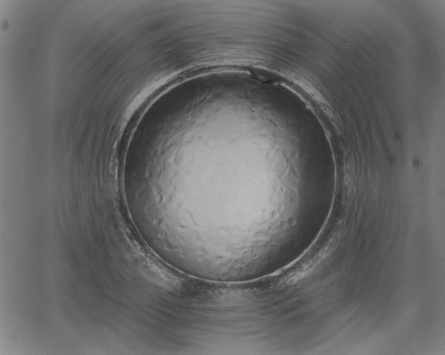 X0000058820933200510031317