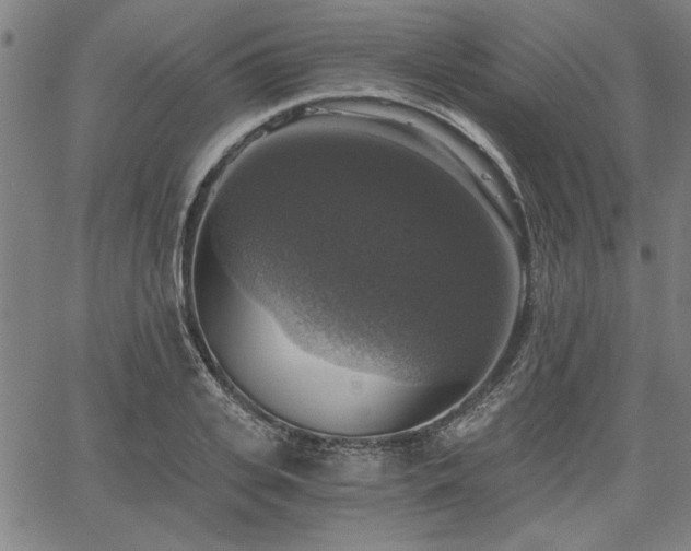 X0000058820935200510031317