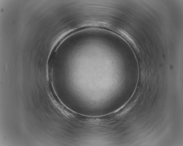 X0000058820940200510031317