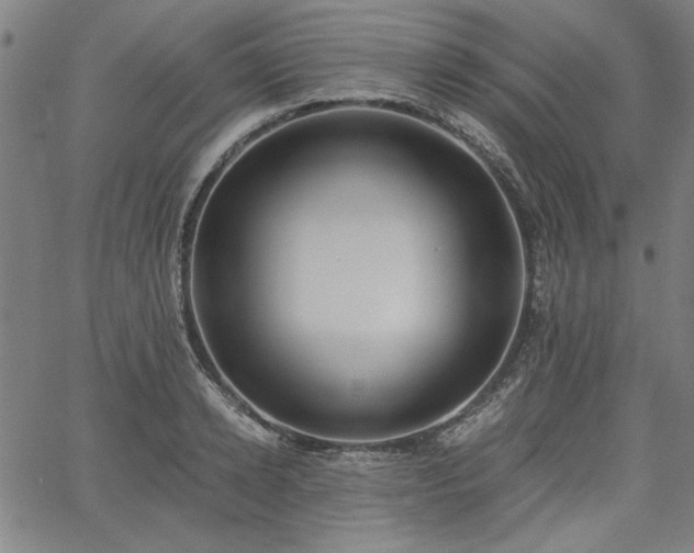 X0000058820942200510031317
