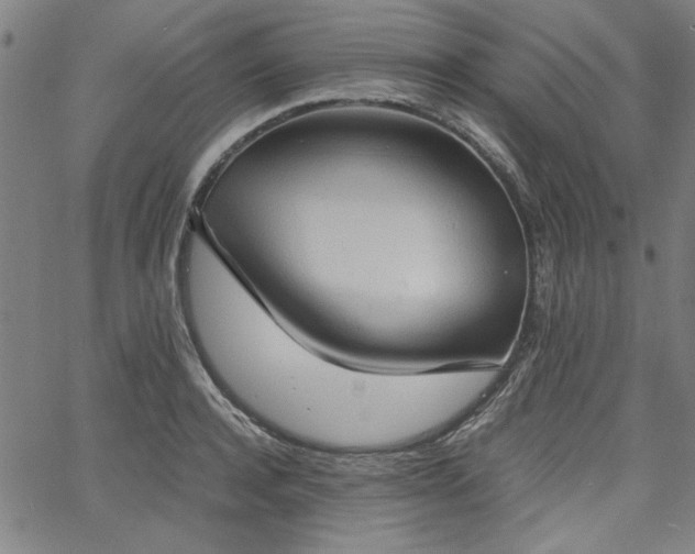 X0000058820944200510031317