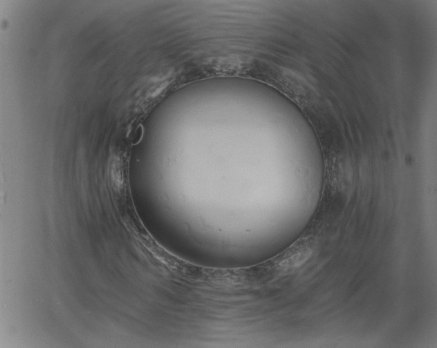 X0000058820962200510031317