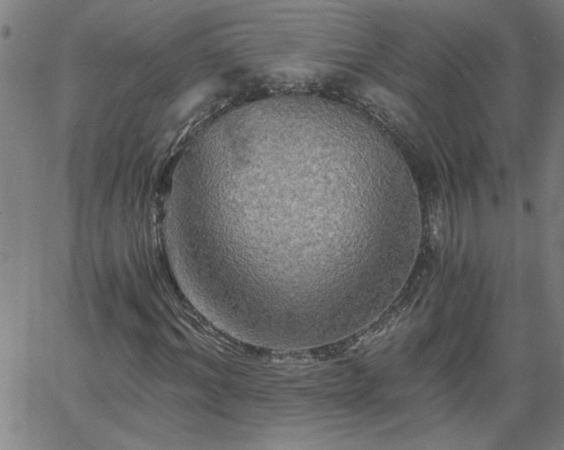 X0000058820964200510031317