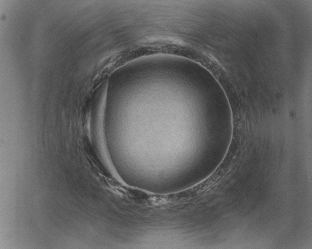 X0000058820965200510031317