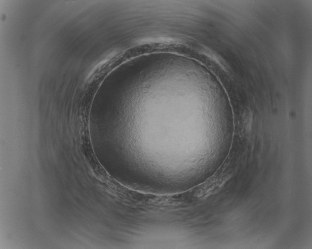 X0000058820967200510031317
