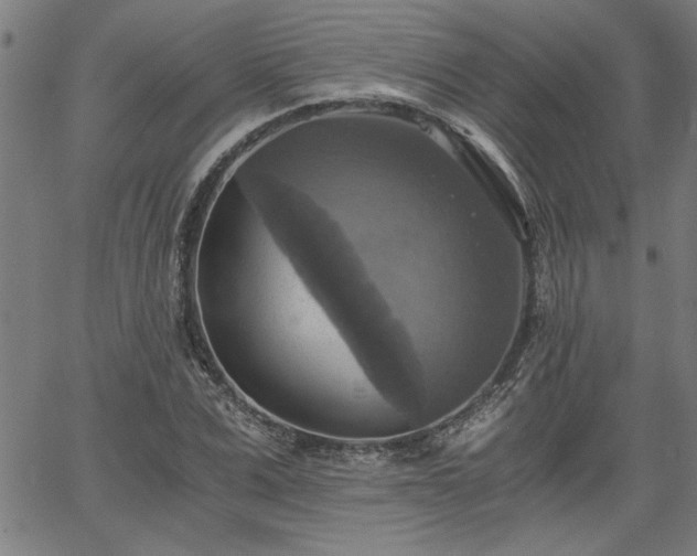 X0000058820975200510031316