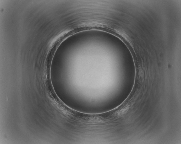 X0000058820979200510031316