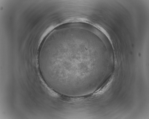 X0000058820997200510031316