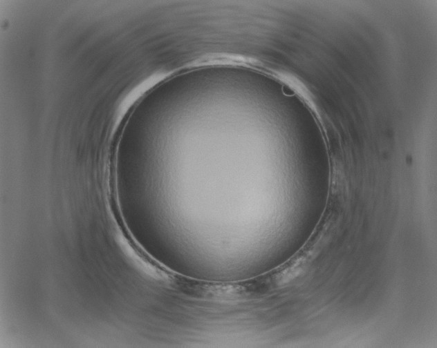 X0000058821003200510031316