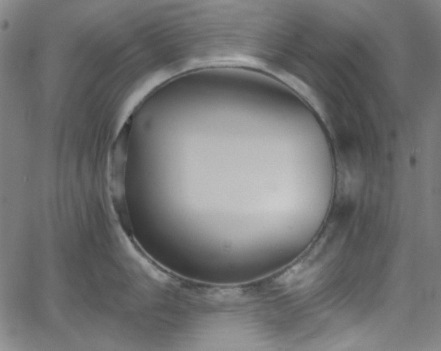 X0000058821006200510031316