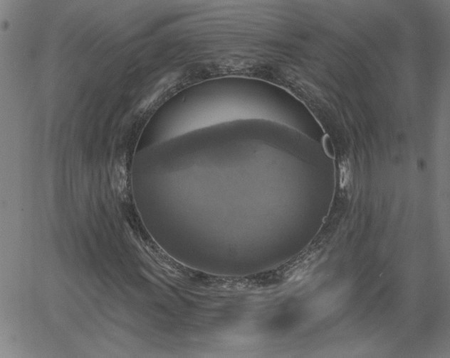 X0000058821011200510031315