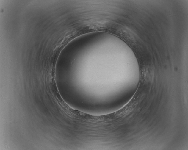 X0000058821012200510031315