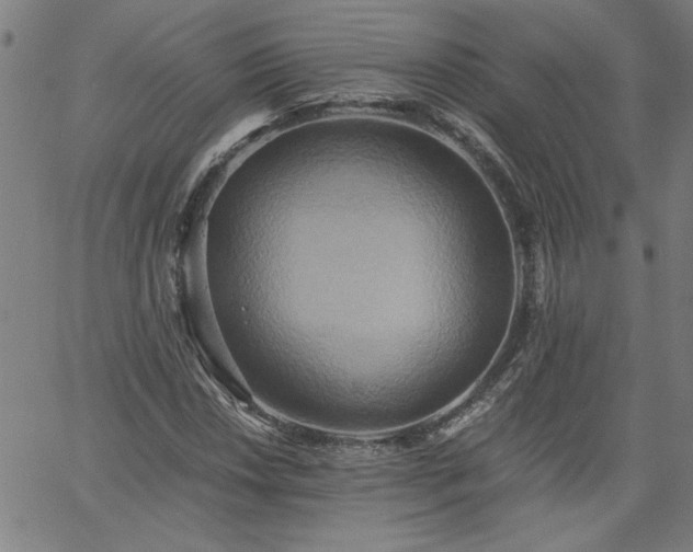 X0000058821018200510031315