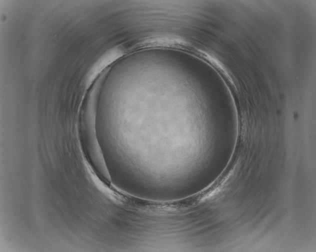 X0000058821042200510031316
