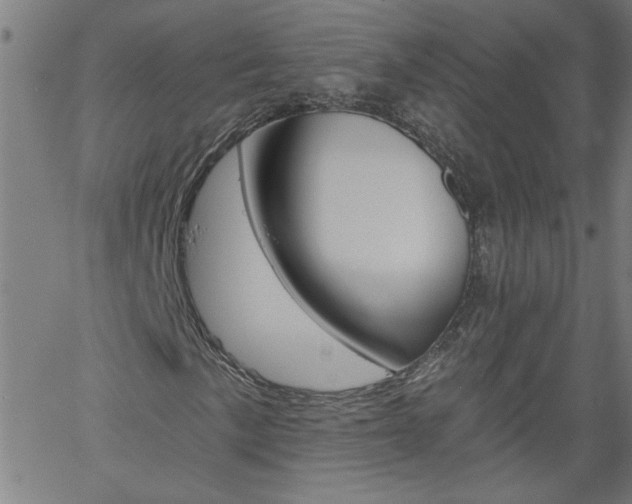 X0000058821057200510031315