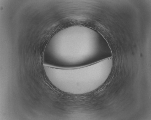 X0000058821061200510031315