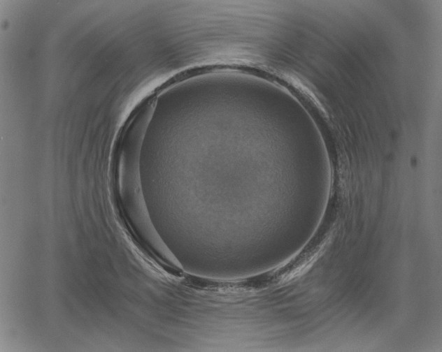 X0000058821077200510031315