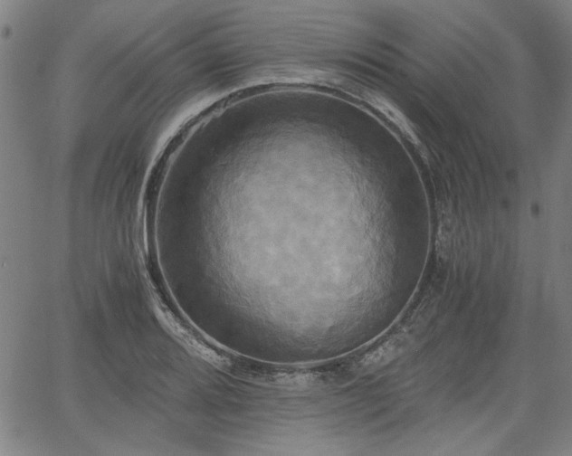 X0000058821080200510031315