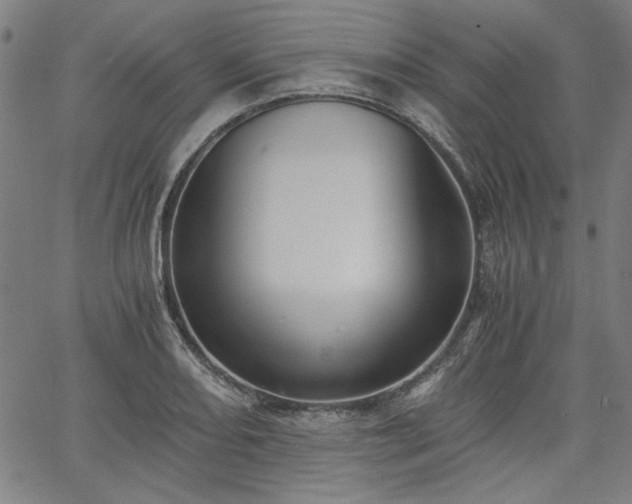X0000058821082200510031315
