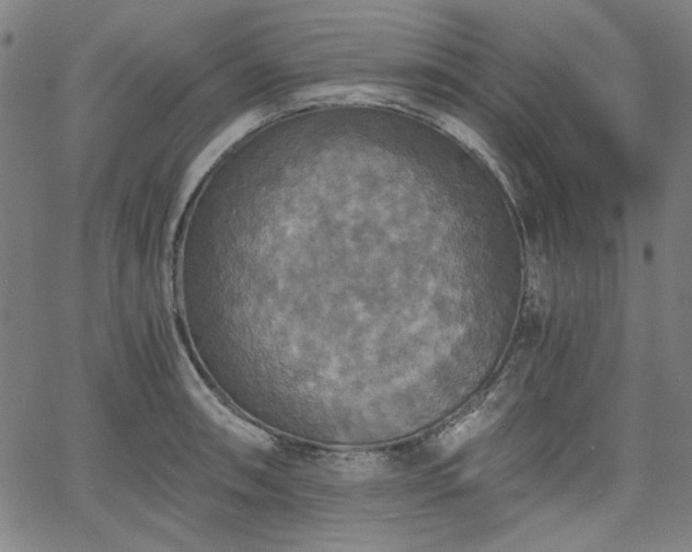 X0000058821090200510031314