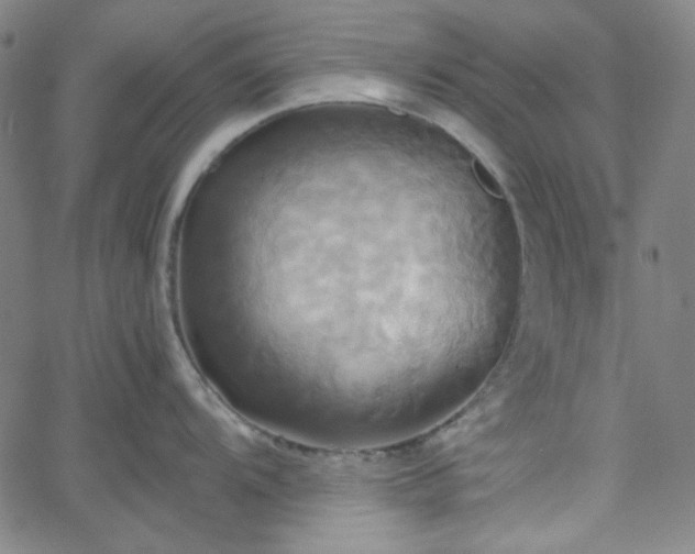 X0000058821104200510031314
