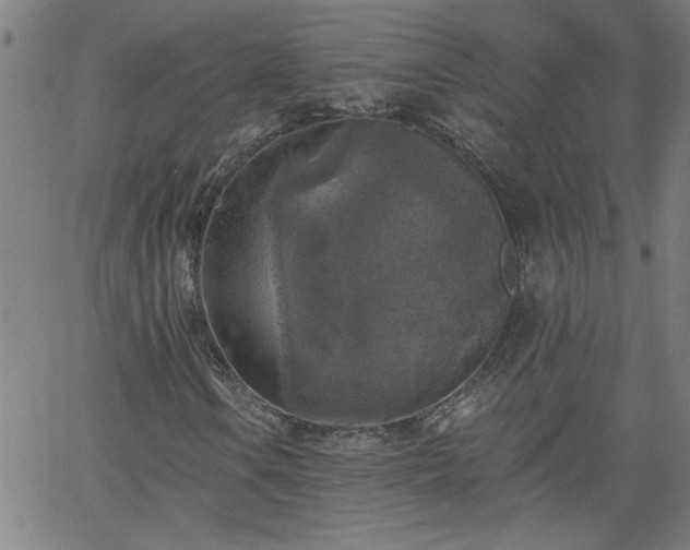 X0000058821106200510031313