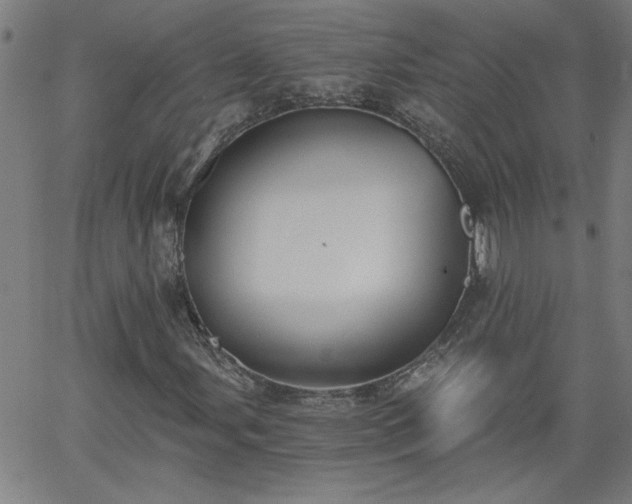 X0000058821107200510031313