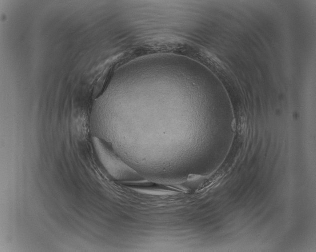X0000058821108200510031313