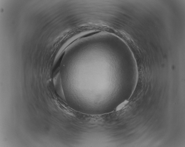 X0000058821110200510031313