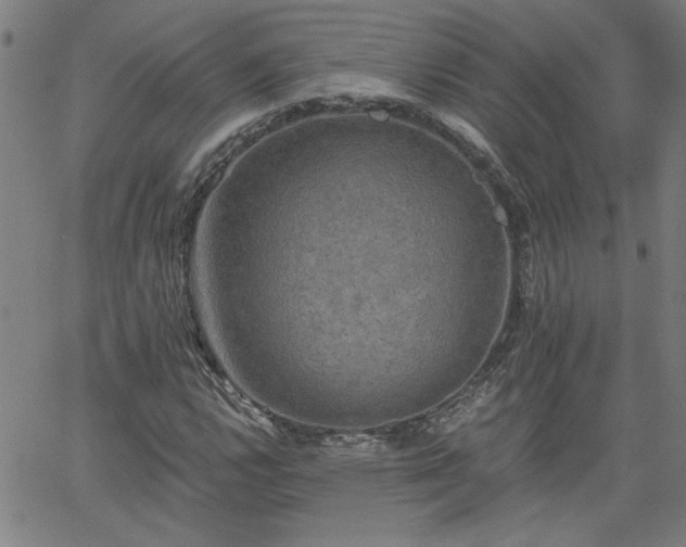 X0000058821112200510031314