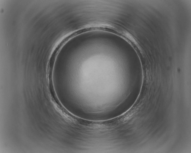X0000058821124200510031314