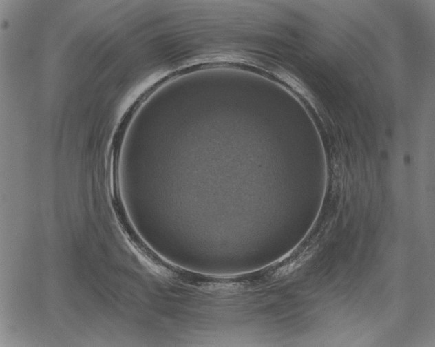 X0000058821127200510031314