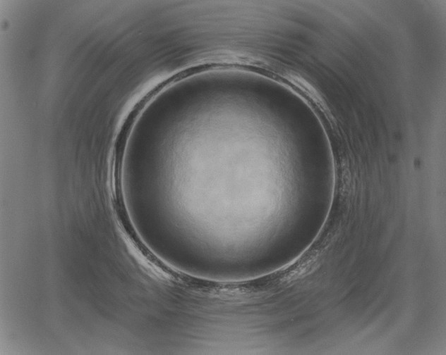 X0000058821128200510031314