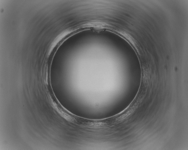 X0000058821131200510031314