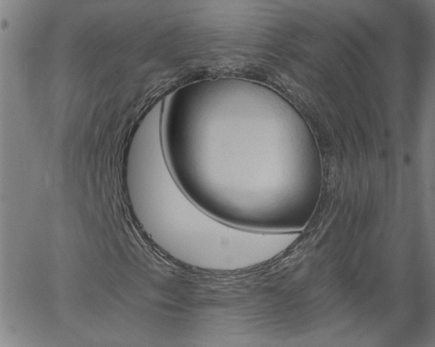 X0000058821153200510031313