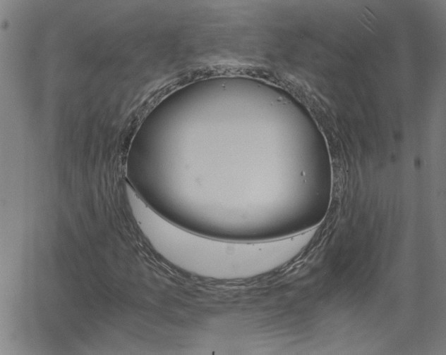 X0000058821157200510031313