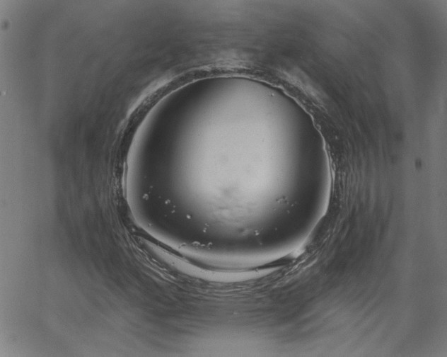 X0000058821160200510031313