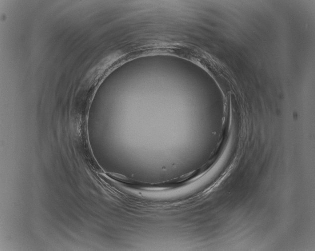 X0000058821161200510031313