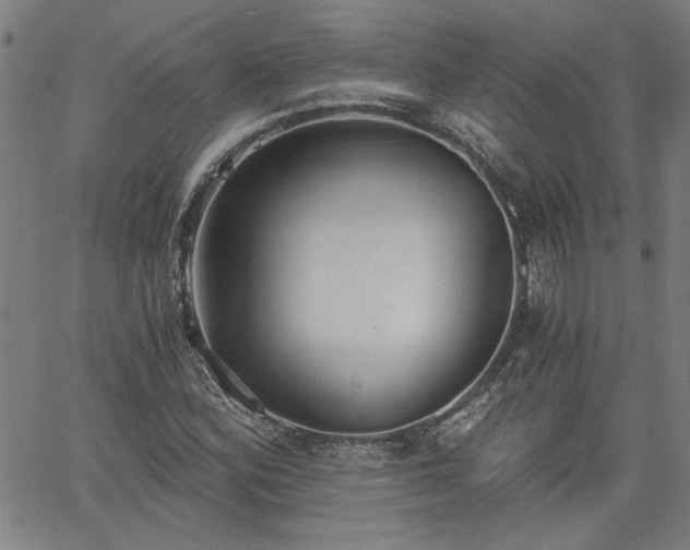X0000058821164200510031313
