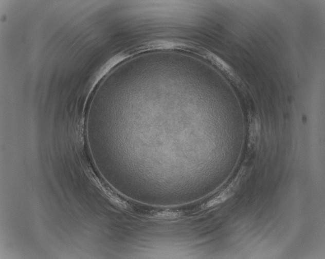 X0000058821178200510031313
