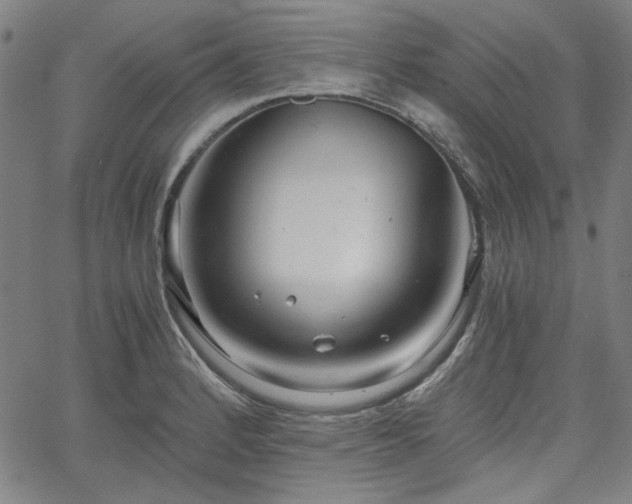 X0000058821184200510031313