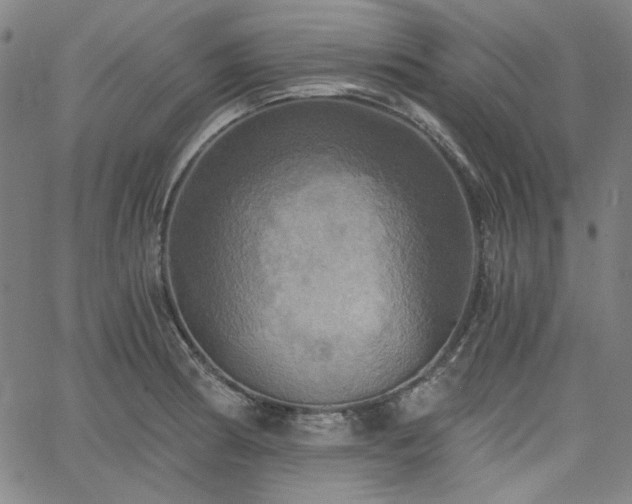 X0000058821186200510031313