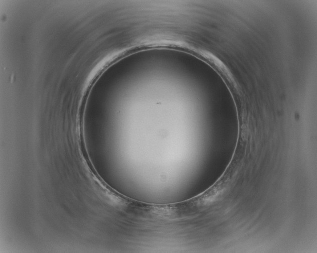 X0000058821191200510031313