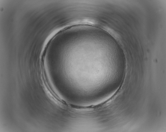 X0000058821200200510031313
