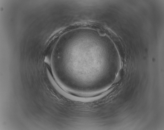 X0000058821206200510031312