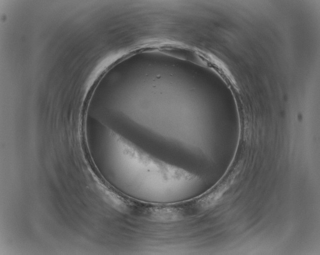 X0000058821231200510031312