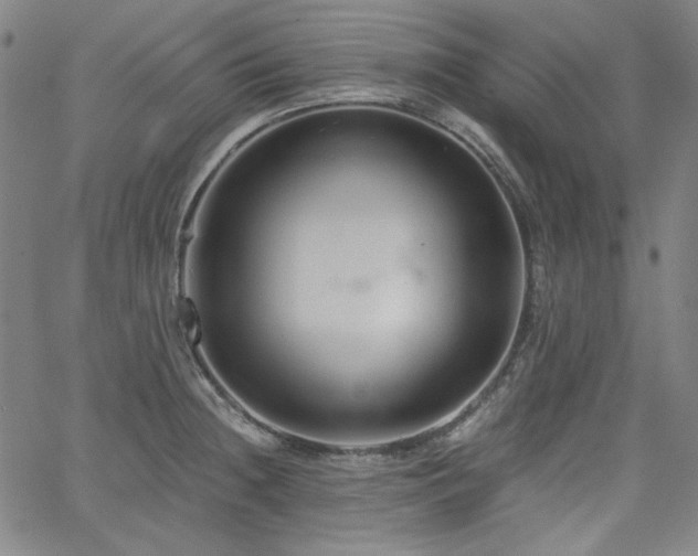 X0000058821236200510031312
